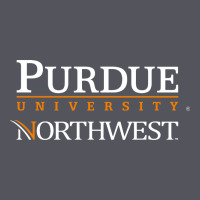 Purdue University Northwest Vintage Hoodie | Teevron