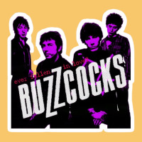 Buzzcocks Ever Fallen In Love With Someone You Shouldn't've Vintage Hoodie | Teevron