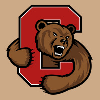 Cornell Vintage Hoodie | Teevron