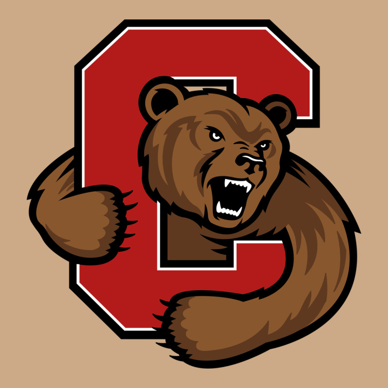 Cornell Vintage Hoodie by linhVisuals | Teevron
