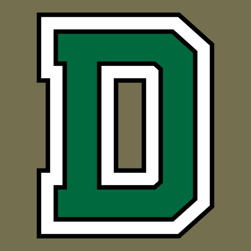Dartmouth Vintage Hoodie by linhVisuals | Teevron