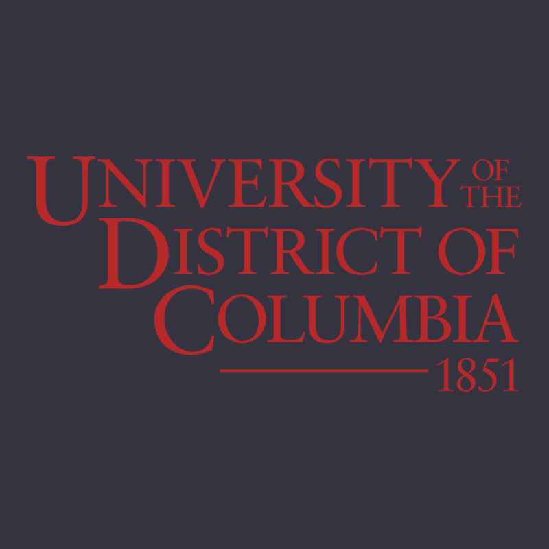 University Of The District Of Columbia Vintage Hoodie by linhVisuals | Teevron