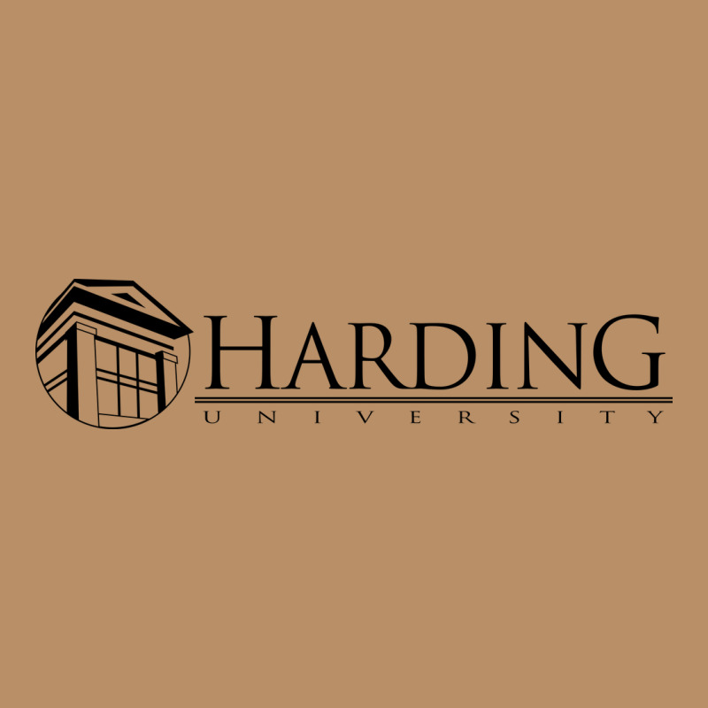 Harding University Vintage Hoodie by linhVisuals | Teevron
