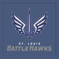 Suitable-st-battlehawks-worn Vintage Hoodie | Teevron