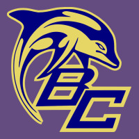 Battery Creek High School, Beaufort Vintage Hoodie | Teevron