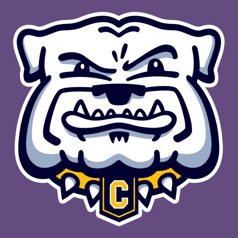 Chelse Bulldogs Vintage Hoodie by linhVisuals | Teevron