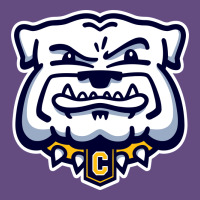 Chelse Bulldogs Vintage Hoodie | Teevron