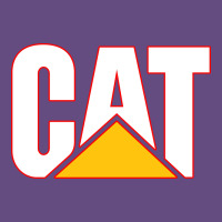 Cat Vintage Hoodie | Teevron