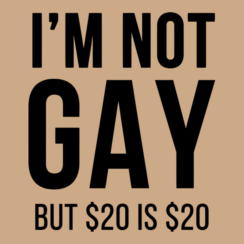 I'm Not Gay But $20 Is $20 (white) Vintage Hoodie by linhVisuals | Teevron