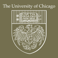 Chicago Vintage Hoodie | Teevron