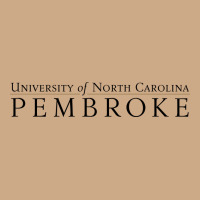 University Of North Carolin Pembroke Vintage Hoodie | Teevron
