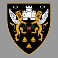 The-northampton-saints-pen Vintage Hoodie | Teevron