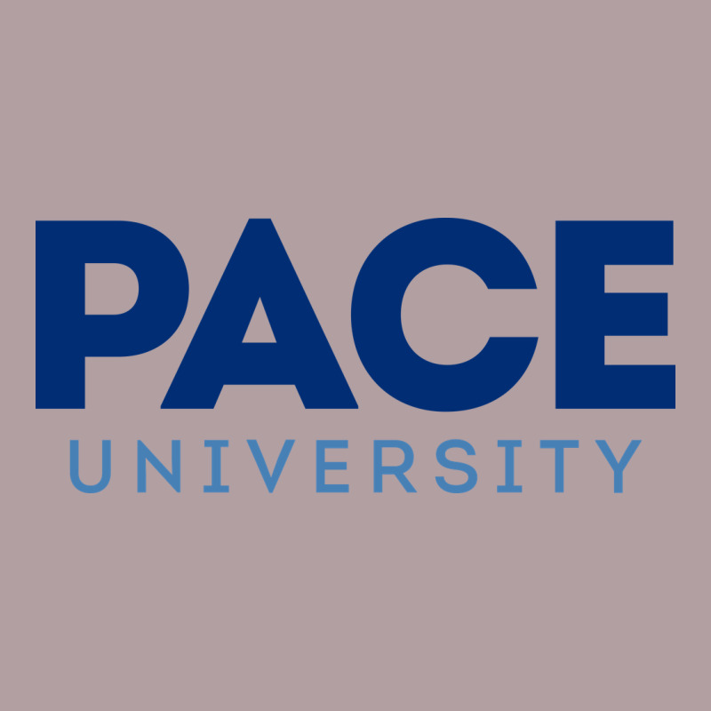 Pace University Vintage Hoodie by linhVisuals | Teevron