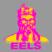 Eels Artist Müsïc Vintage Hoodie | Teevron