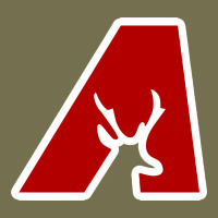 Avonworth High School Vintage Hoodie | Teevron