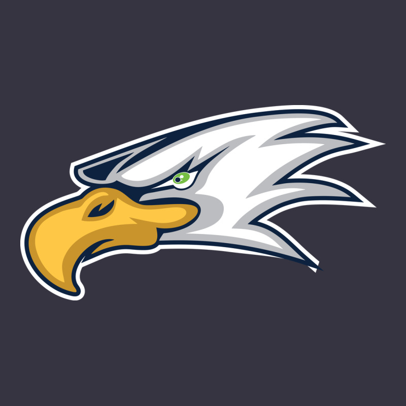 Eagle High School Vintage Hoodie by linhVisuals | Teevron