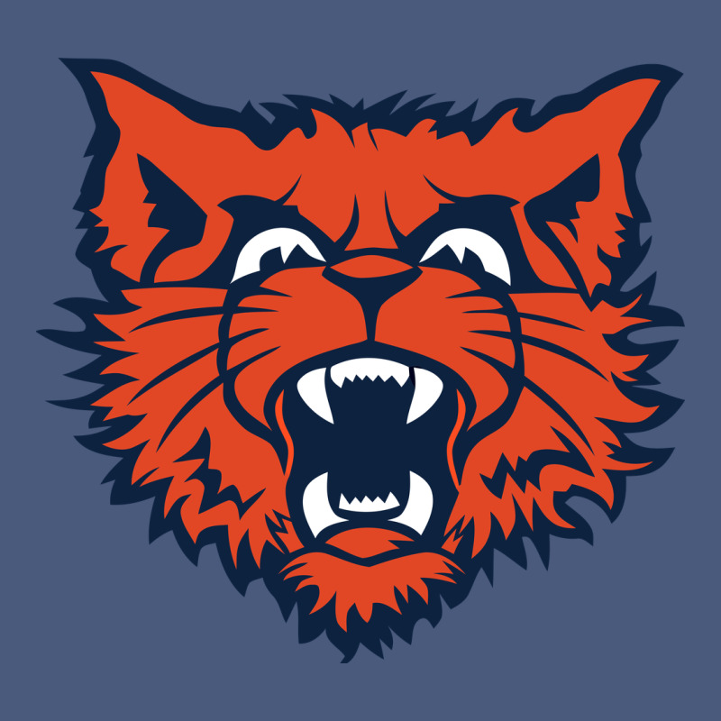Evanston Township High School Vintage Hoodie by linhVisuals | Teevron