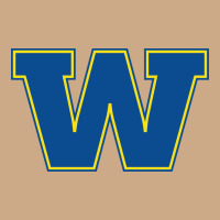Wooster High School Vintage Hoodie | Teevron