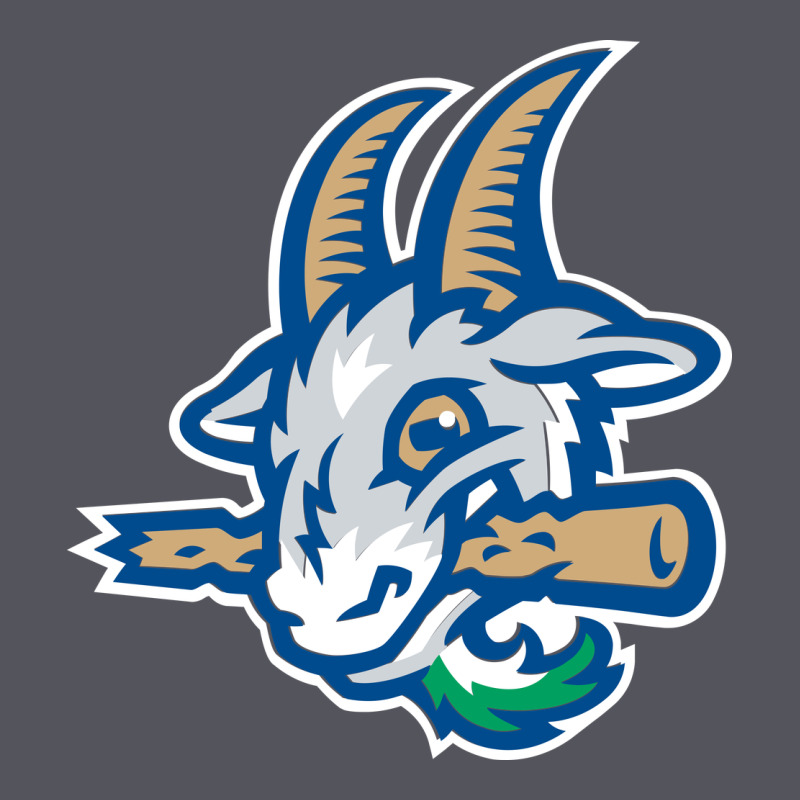 Hartford-yard-goats Vintage Hoodie by linhVisuals | Teevron