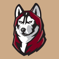 Bloomsburg Huskies Vintage Hoodie | Teevron