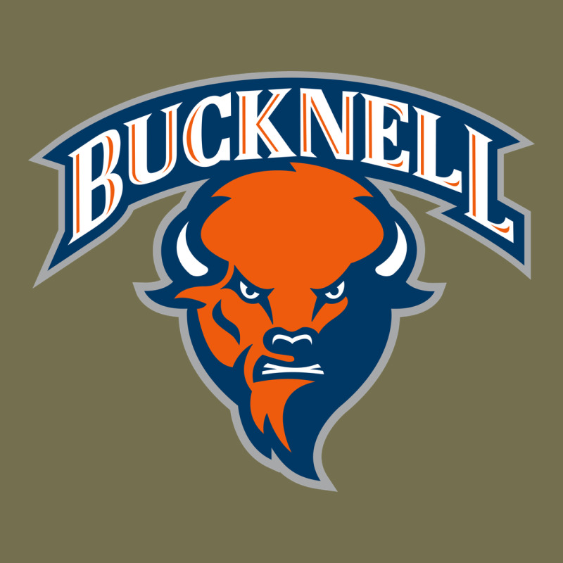 Bucknell Vintage Hoodie by linhVisuals | Teevron