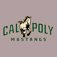 Cal Poly Vintage Hoodie | Teevron