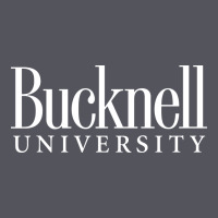 Bucknell University Vintage Hoodie | Teevron