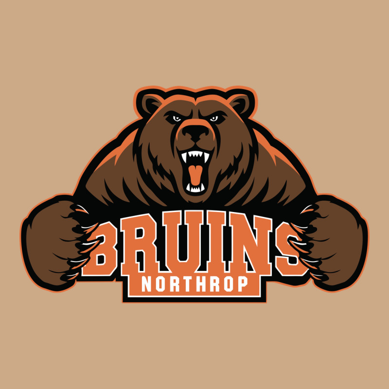 Northrop High School Vintage Hoodie by linhVisuals | Teevron