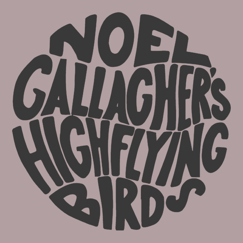 Noel Gallagher's High Flying Birds Classic Vintage Hoodie by linhVisuals | Teevron