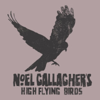 Noel Gallagher's High Flying Birds Classic Vintage Hoodie | Teevron
