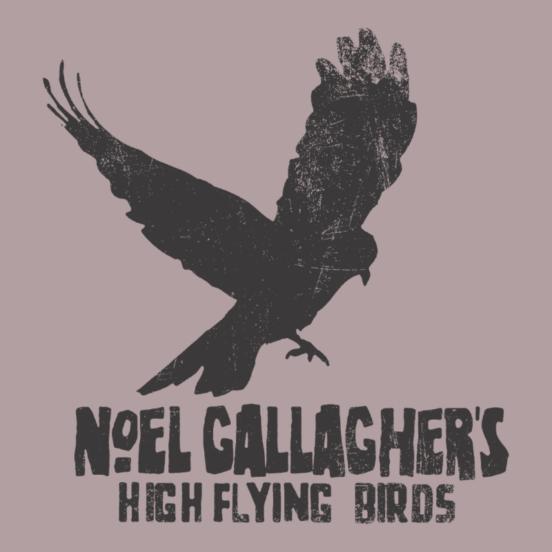 Noel Gallagher's High Flying Birds Classic Vintage Hoodie by linhVisuals | Teevron