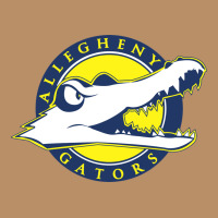 Allegheny Merch Vintage Hoodie | Teevron