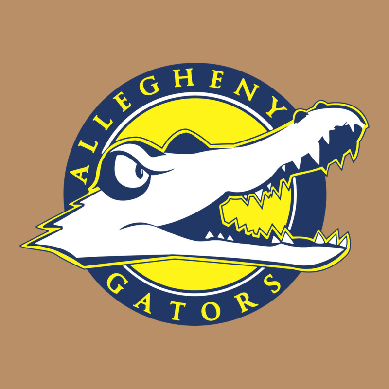 Allegheny Merch Vintage Hoodie by linhVisuals | Teevron