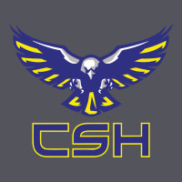 Cold Springs High School Vintage Hoodie | Teevron