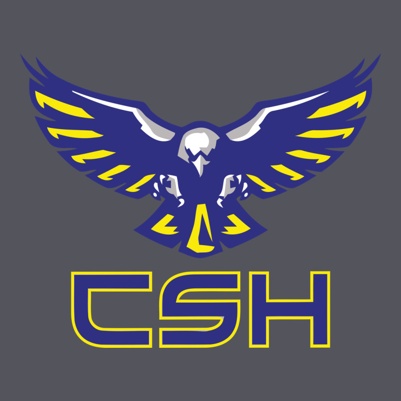 Cold Springs High School Vintage Hoodie by linhVisuals | Teevron