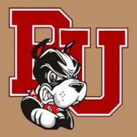 Bu University Terries Champion Vintage Hoodie | Teevron