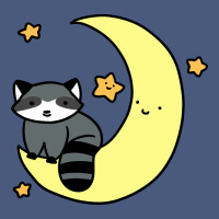 Crescent Moon Raccoon Vintage Hoodie | Teevron