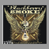 Blackberry Smoke Vintage Hoodie | Teevron
