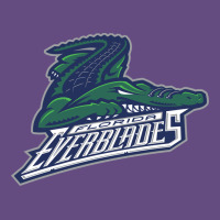 Florida Everblades Vintage Hoodie | Teevron