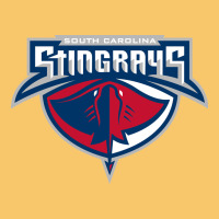 South Carolina Stingrays Vintage Hoodie | Teevron