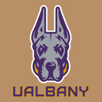 Ualbany Great Danes Vintage Hoodie | Teevron