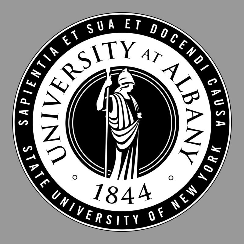 University Albany Suny Vintage Hoodie by linhVisuals | Teevron