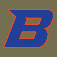 New-boise-state Vintage Hoodie | Teevron
