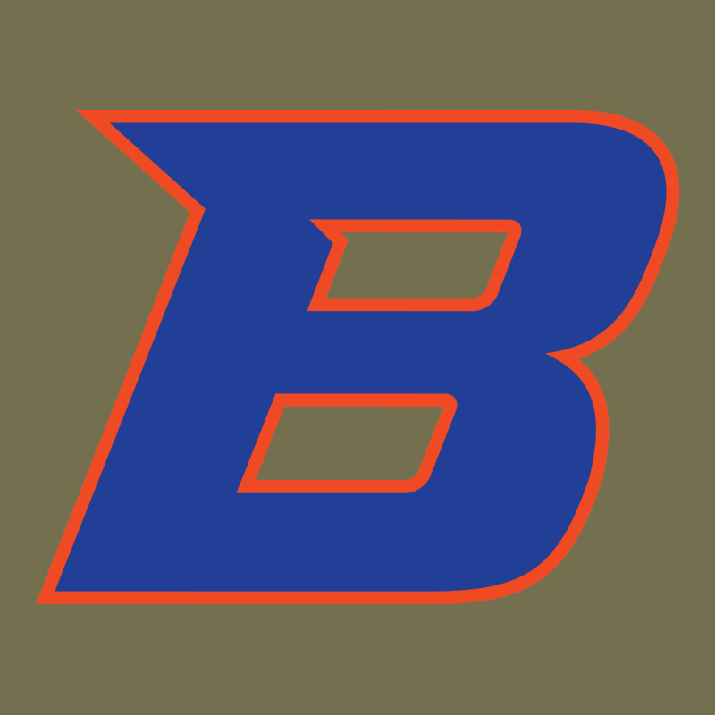 New-boise-state Vintage Hoodie by linhVisuals | Teevron