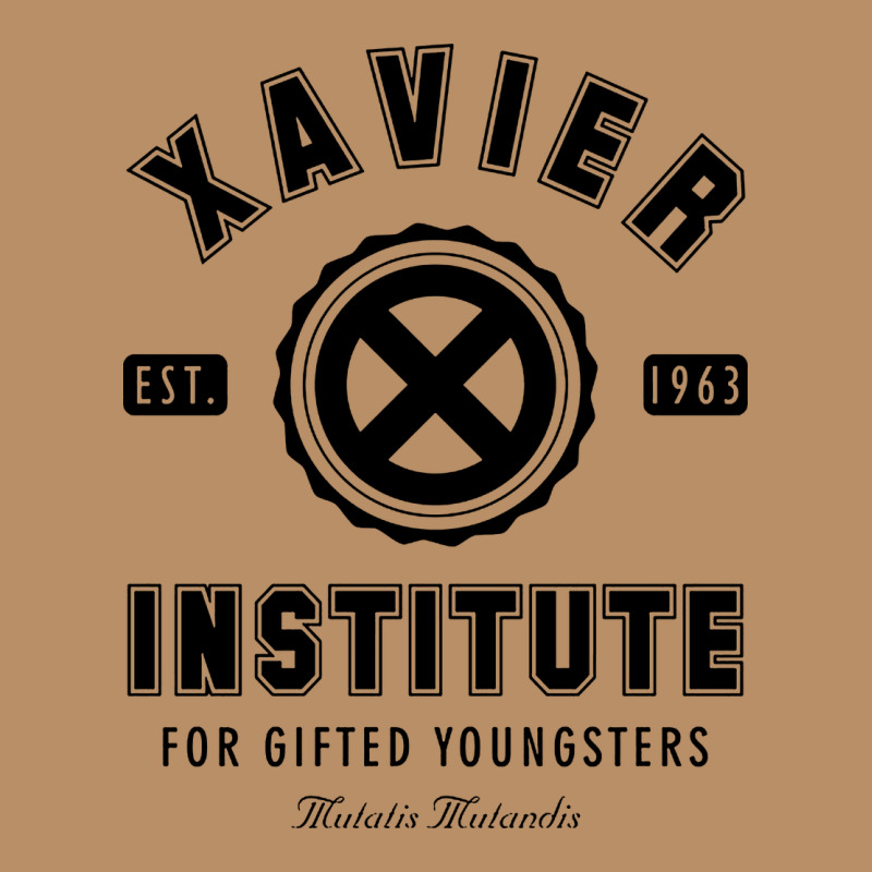 Xavier Institute Vintage Hoodie by linhVisuals | Teevron