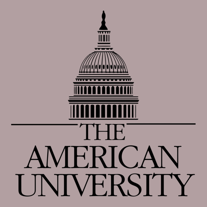 American University Vintage Hoodie by linhVisuals | Teevron