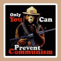 Only You Can Prevent Communism Vintage Hoodie | Teevron