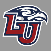 Liberty Flames Vintage Hoodie | Teevron
