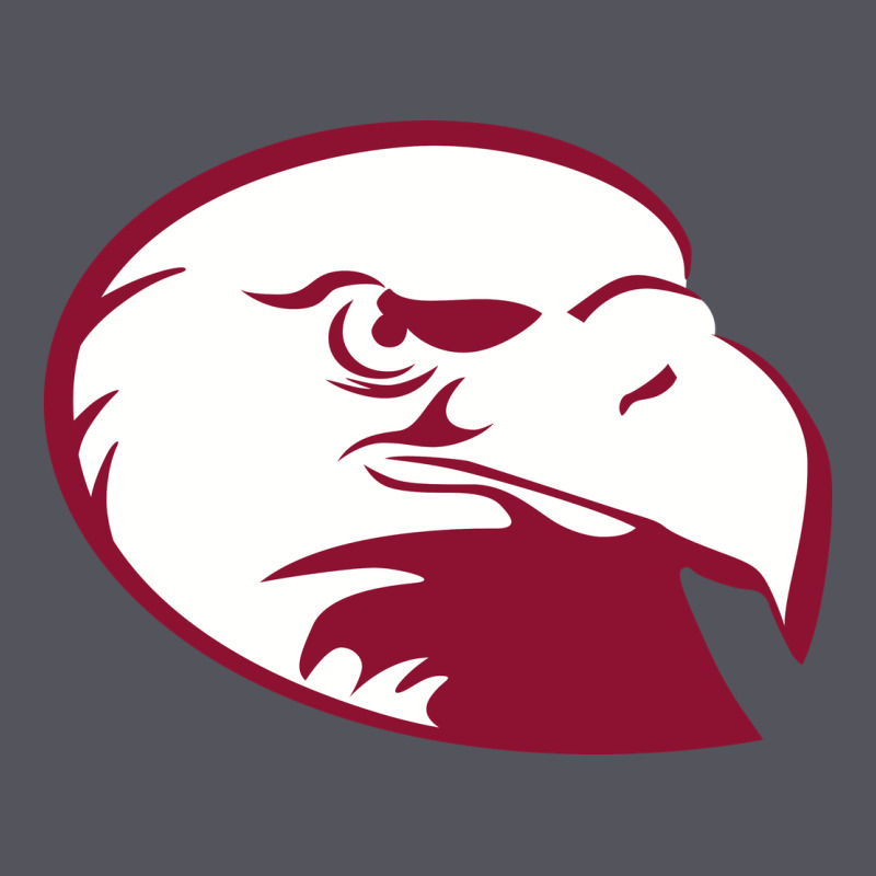 Lock Haven Bald Eagles Vintage Hoodie by linhVisuals | Teevron