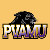 Prairie View A&m Panthers And Lady Panthers Rectangle Patch Vintage Hoodie | Teevron